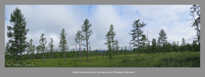 «Транскамчатский Матрас 2013» или «Как Вы яхту назовете…» (Горный туризм, камчатка, ключевская сопка, камень, поход, моренко)