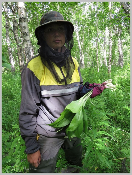 «Транскамчатский Матрас 2013» или «Как Вы яхту назовете…» (Горный туризм, камчатка, ключевская сопка, камень, поход, моренко)