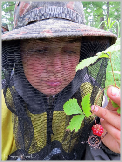 «Транскамчатский Матрас 2013» или «Как Вы яхту назовете…» (Горный туризм, камчатка, ключевская сопка, камень, поход, моренко)