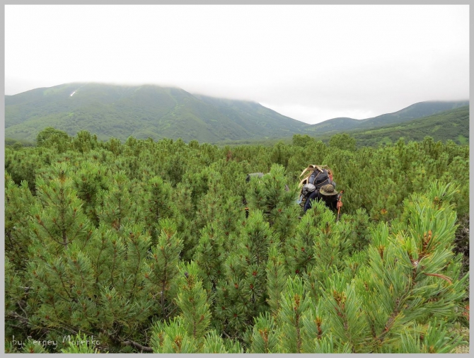 «Транскамчатский Матрас 2013» или «Как Вы яхту назовете…» (Горный туризм, камчатка, ключевская сопка, камень, поход, моренко)