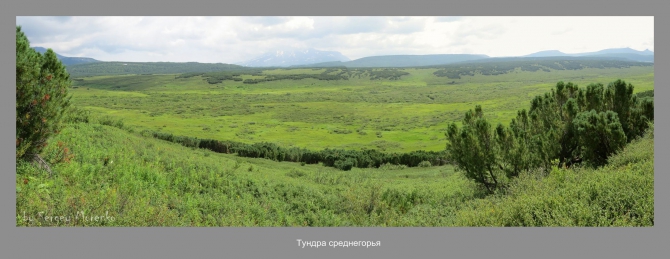 «Транскамчатский Матрас 2013» или «Как Вы яхту назовете…» (Горный туризм, камчатка, ключевская сопка, камень, поход, моренко)