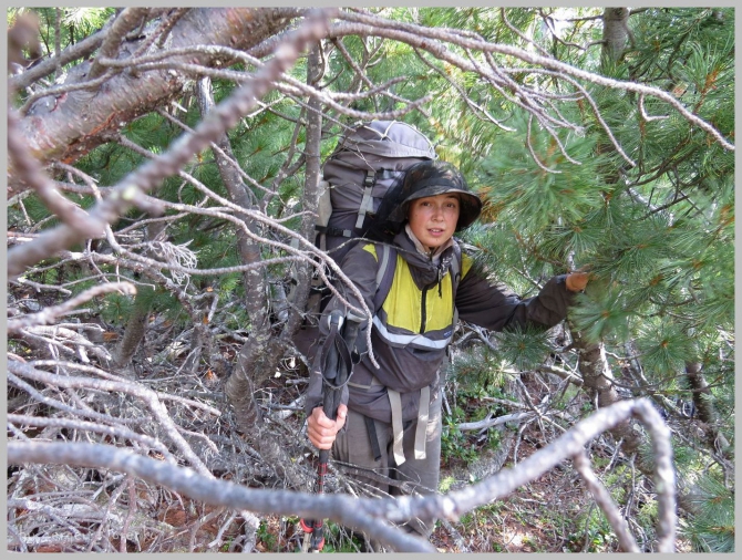 «Транскамчатский Матрас 2013» или «Как Вы яхту назовете…» (Горный туризм, камчатка, ключевская сопка, камень, поход, моренко)