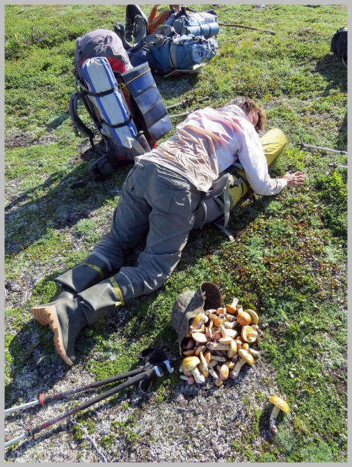 «Транскамчатский Матрас 2013» или «Как Вы яхту назовете…» (Горный туризм, камчатка, ключевская сопка, камень, поход, моренко)