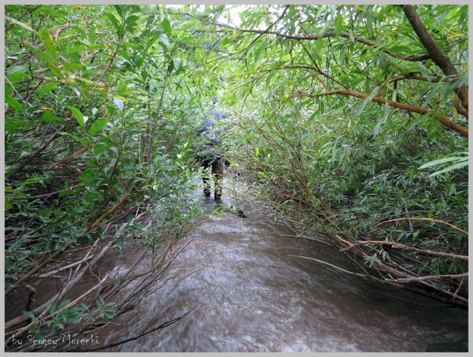 «Транскамчатский Матрас 2013» или «Как Вы яхту назовете…» (Горный туризм, камчатка, ключевская сопка, камень, поход, моренко)