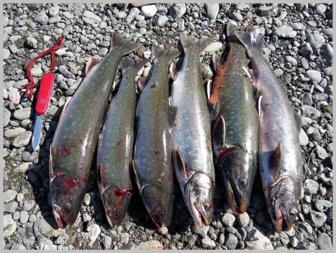 «Транскамчатский Матрас 2013» или «Как Вы яхту назовете…» (Горный туризм, камчатка, ключевская сопка, камень, поход, моренко)