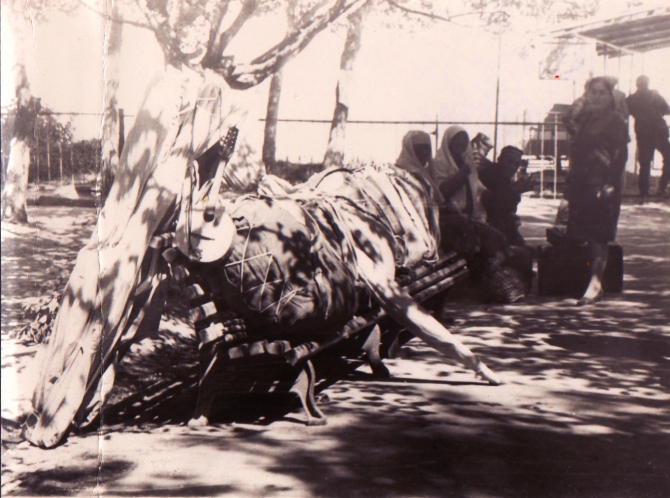 Ледник Федченко на лыжах впервые. Дневник 1970 года. (Путешествия, лыжи, турклуб янтарь)
