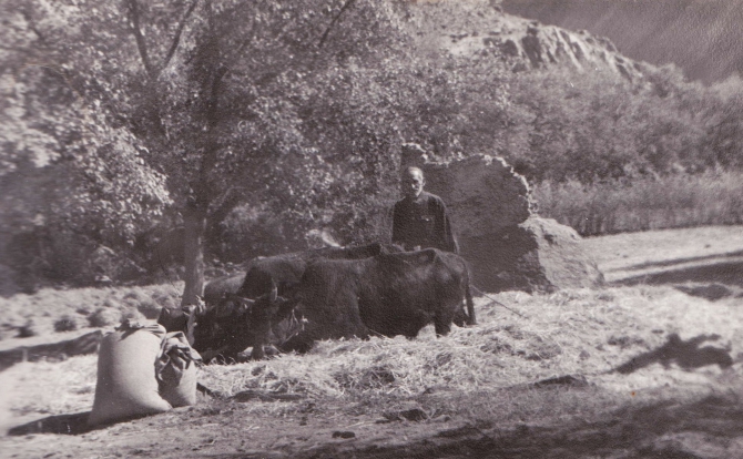 Ледник Федченко на лыжах впервые. Дневник 1970 года. (Путешествия, лыжи, турклуб янтарь)