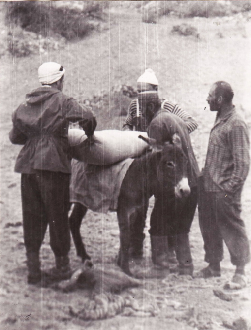 Ледник Федченко на лыжах впервые. Дневник 1970 года. (Путешествия, лыжи, турклуб янтарь)