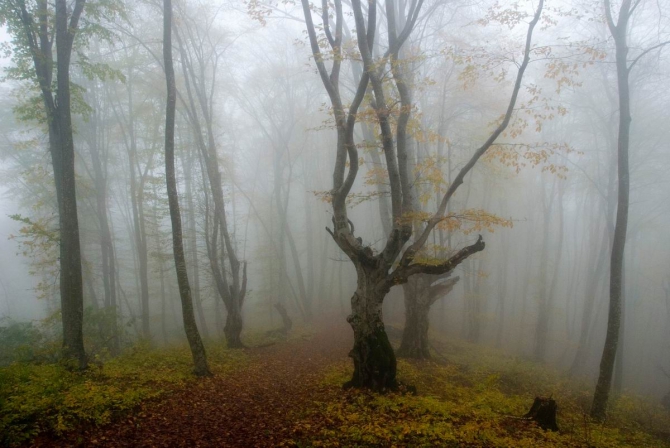 Осень в горах (Горный туризм, кавказ, кбр)