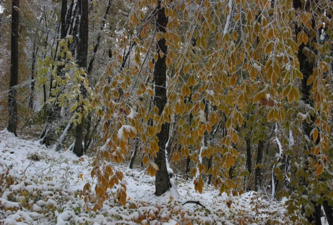 Осень в горах (Горный туризм, кавказ, кбр)