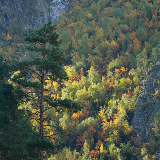 Осень в горах (Горный туризм, кавказ, кбр)
