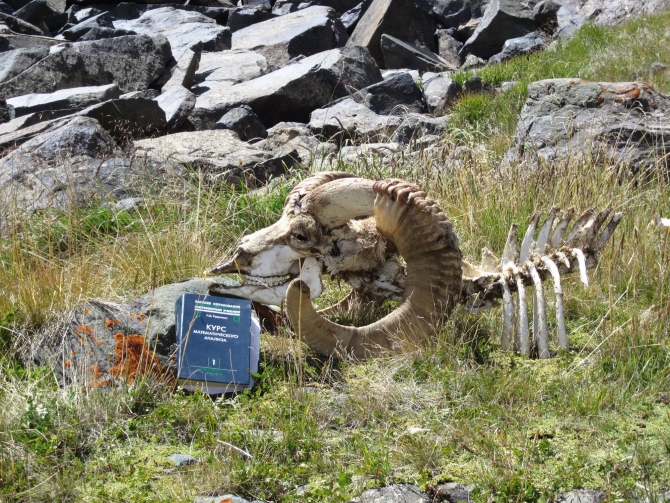 Три хребта. Часть 2. Джетимбель (Горный туризм, перовпрохождение, бурхан, терскей, тянь-шань, джаманечки, ичкесарытор)