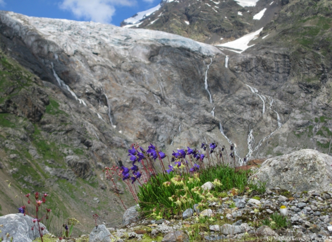 Сванетия-2013. Фотоальбом (Горный туризм, кавказ, горы, туризм, фотография, грузия, поход, ушба)