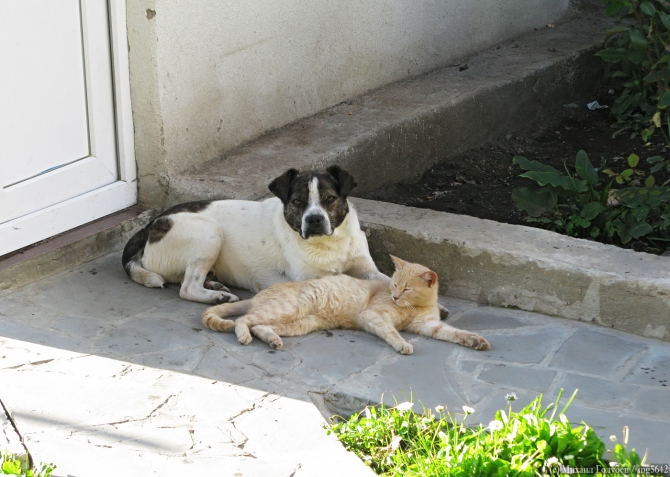 Сванетия-2013. Фотоальбом (Горный туризм, кавказ, горы, туризм, фотография, грузия, поход, ушба)