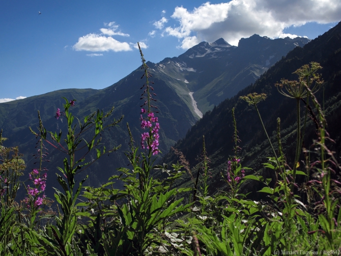Сванетия-2013. Фотоальбом (Горный туризм, кавказ, горы, туризм, фотография, грузия, поход, ушба)