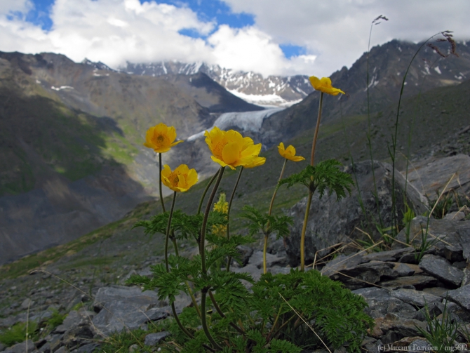 Сванетия-2013. Фотоальбом (Горный туризм, кавказ, горы, туризм, фотография, грузия, поход, ушба)