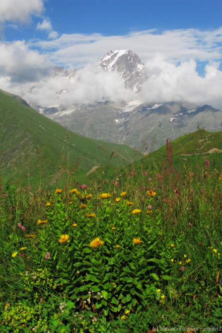 Рача – 2013. Фотоальбом (Горный туризм, горы, кавказ, грузия, туризм, фотография)