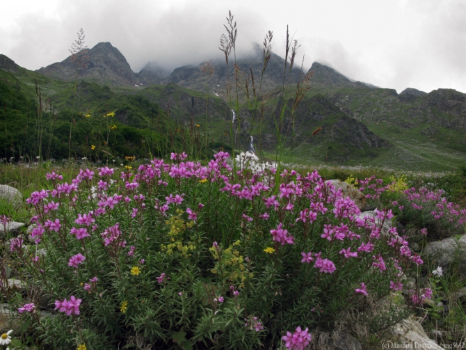 Рача – 2013. Фотоальбом (Горный туризм, горы, кавказ, грузия, туризм, фотография)