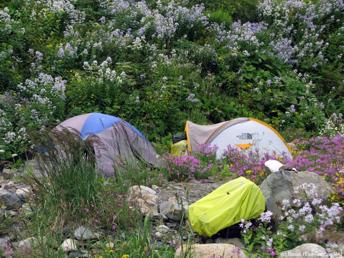 Рача – 2013. Фотоальбом (Горный туризм, горы, кавказ, грузия, туризм, фотография)