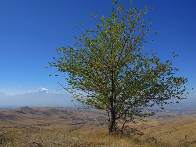 Армения - 2013. Фоторассказ (Путешествия, ереван, достопримечательности, арагац)