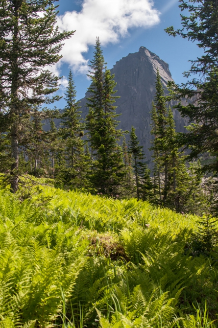 Затерянный мир – Ергаки (Путешествия, западный саян)