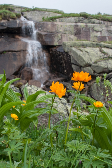 Затерянный мир – Ергаки (Путешествия, западный саян)