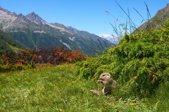 Фотоотчёт о походе по Кавказу, с восхождением на Эльбрус (Альпинизм, горный поход, июль 2013)
