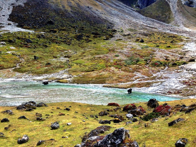 Хрустальный пик-2013. Тенгканпоче (Альпинизм, описания, петрова, чибиток, коптева, bask company, события, фар, мы в обществе, risk.ru, риск.ру, outdoor-проект)