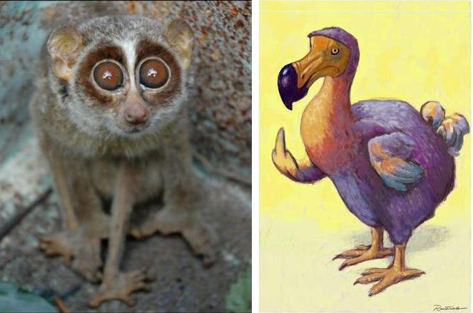 Три недели реюньонинга (начало, Путешествия, каньонинг)