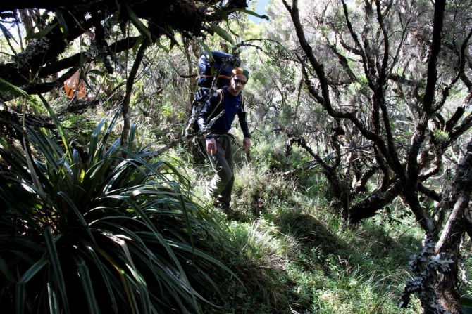 Три недели реюньонинга (начало, Путешествия, каньонинг)