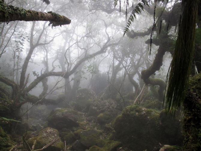 Три недели реюньонинга (начало, Путешествия, каньонинг)