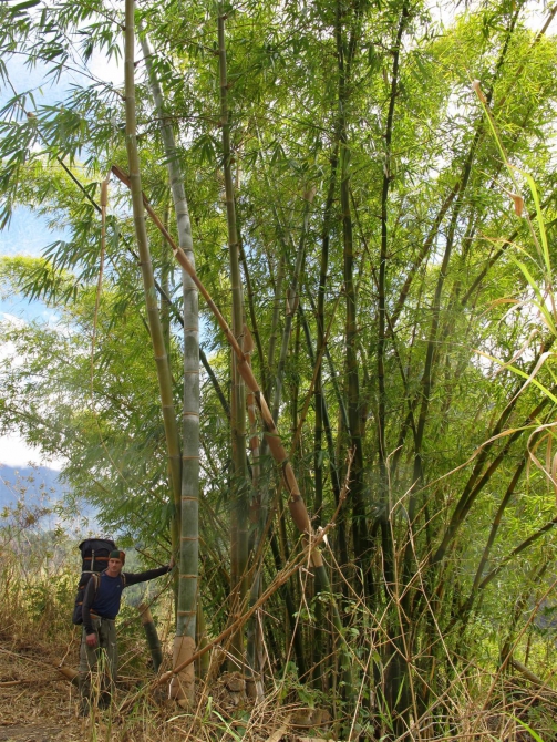 Три недели реюньонинга (продолжение, Путешествия, каньонинг)