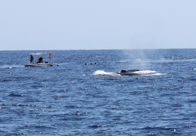 Три недели реюньонинга (продолжение, Путешествия, каньонинг)