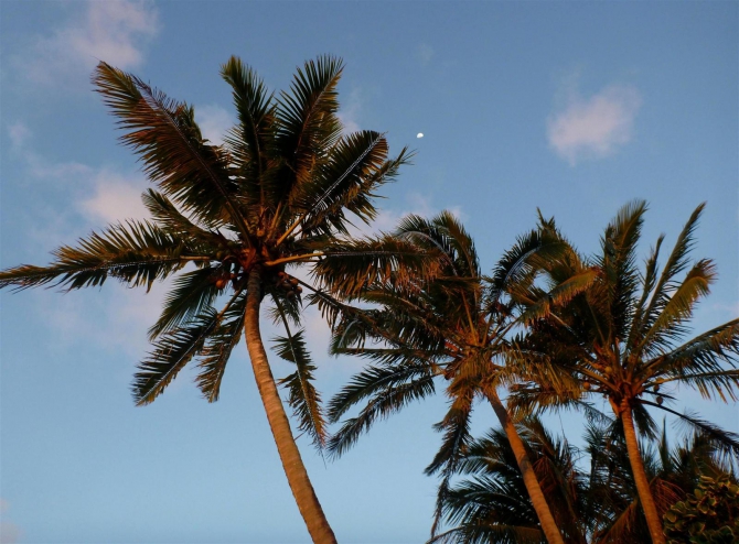 Три недели реюньонинга (окончание, Путешествия, каньонинг)