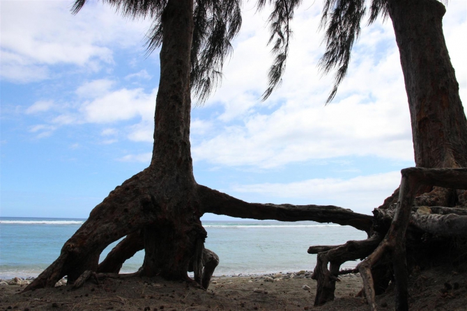 Три недели реюньонинга (окончание, Путешествия, каньонинг)