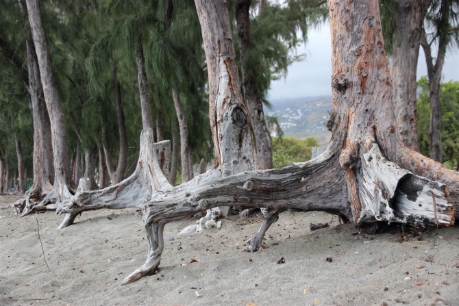 Три недели реюньонинга (окончание, Путешествия, каньонинг)