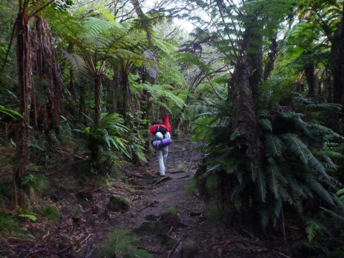 Три недели реюньонинга (окончание, Путешествия, каньонинг)
