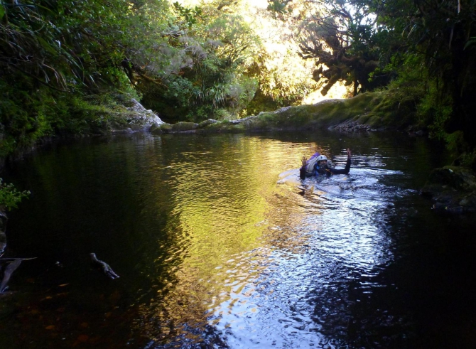 Три недели реюньонинга (окончание, Путешествия, каньонинг)