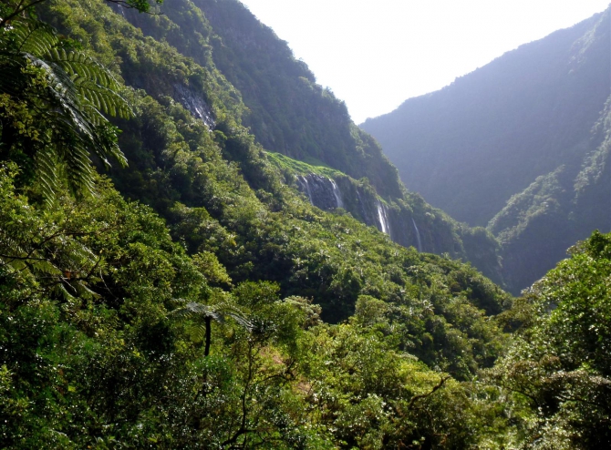 Три недели реюньонинга (окончание, Путешествия, каньонинг)