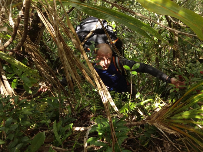 Три недели реюньонинга (окончание, Путешествия, каньонинг)