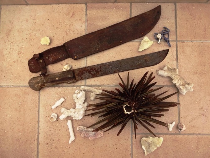 Три недели реюньонинга (окончание, Путешествия, каньонинг)