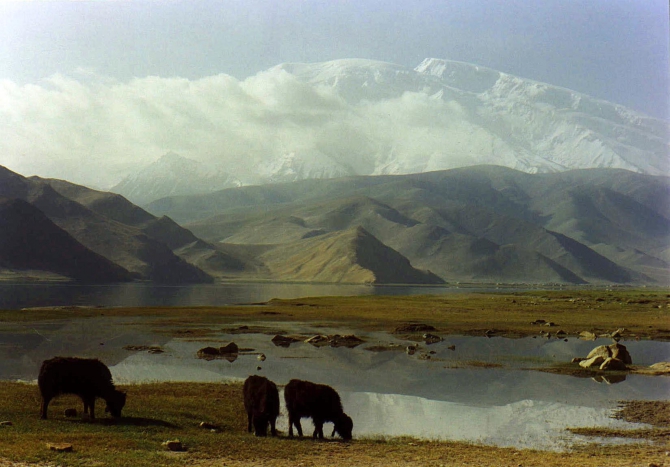 Фильм "Второй кашгарский поход" восстановлен в сети. (Альпинизм, рыкалов, кашгарские горы, китайский памир, аклангам, лебедев, турклуб маи)