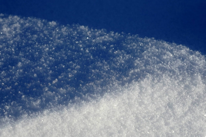 ШЕРЕГЕШСКИЕ ЁЛКИ (Бэккантри/Фрирайд, bd, marmot, slash, yes, кирилл анисимов, фрирайд)