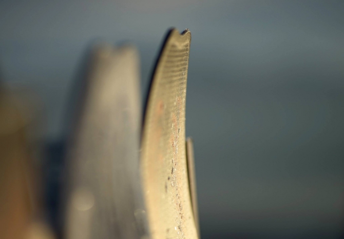 ШЕРЕГЕШСКИЕ ЁЛКИ (Бэккантри/Фрирайд, bd, marmot, slash, yes, кирилл анисимов, фрирайд)