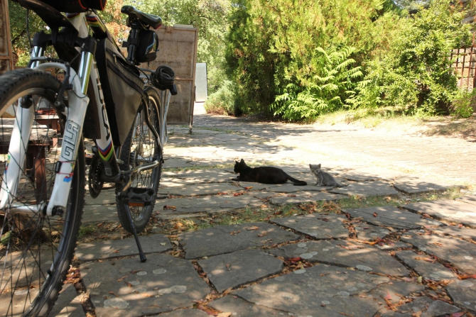 Здравствуй, младший брат, или как я в Болгарии Архыз искала (Путешествия, болгария, варна, вело-поход, велотуризм, велосипед, вписка, гостеприимство, екатерина светлая, клуб гостеприимства, открытость, путешествие)