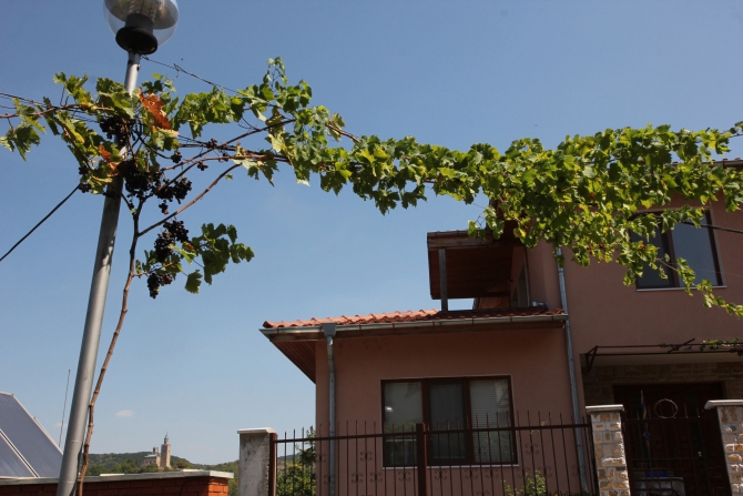 Здравствуй, младший брат, или как я в Болгарии Архыз искала (Путешествия, болгария, варна, вело-поход, велотуризм, велосипед, вписка, гостеприимство, екатерина светлая, клуб гостеприимства, открытость, путешествие)