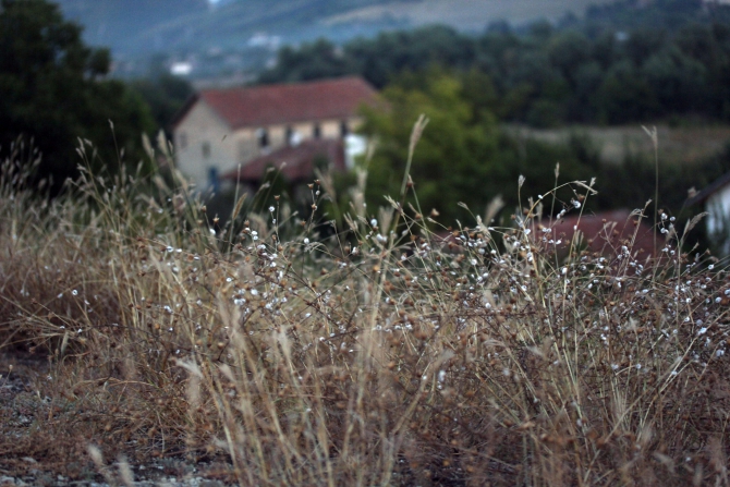 Здравствуй, младший брат, или как я в Болгарии Архыз искала (Путешествия, болгария, варна, вело-поход, велотуризм, велосипед, вписка, гостеприимство, екатерина светлая, клуб гостеприимства, открытость, путешествие)