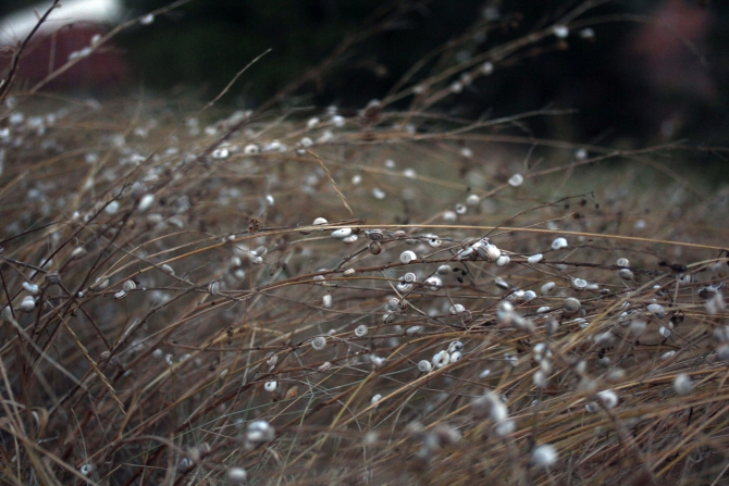 Здравствуй, младший брат, или как я в Болгарии Архыз искала (Путешествия, болгария, варна, вело-поход, велотуризм, велосипед, вписка, гостеприимство, екатерина светлая, клуб гостеприимства, открытость, путешествие)