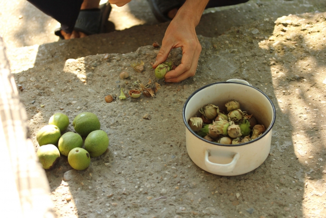 Здравствуй, младший брат, или как я в Болгарии Архыз искала (Путешествия, болгария, варна, вело-поход, велотуризм, велосипед, вписка, гостеприимство, екатерина светлая, клуб гостеприимства, открытость, путешествие)