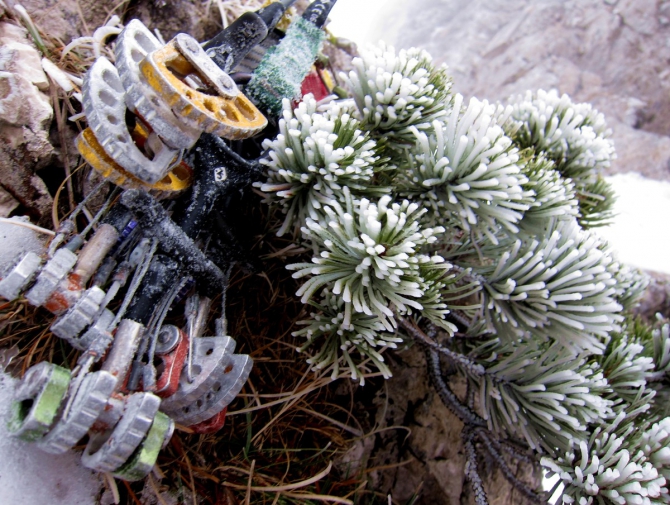 Новогоднее поздравление!